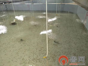 海缘养殖科技 以技术领域树品牌，南苗北育模式促发展