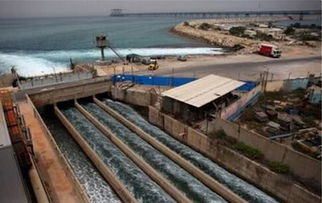 从“陆稻”到“海稻” 中国科学家以创新养殖技术布局全球海洋