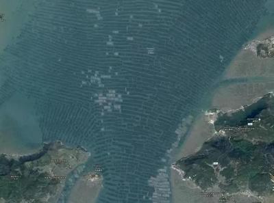 从稻田到海疆 袁隆平与海水养殖技术研发者的双重馈赠