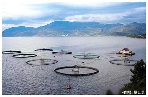 黄骅市海水养殖绿色高质量发展的路径与技术研发重点