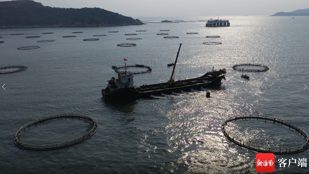 农发行海南省分行33.04亿元贷款助推南繁种业与海水养殖技术振兴